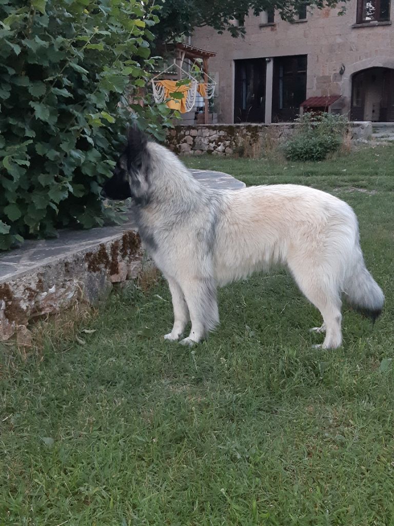 jardin du clair de lune Prana