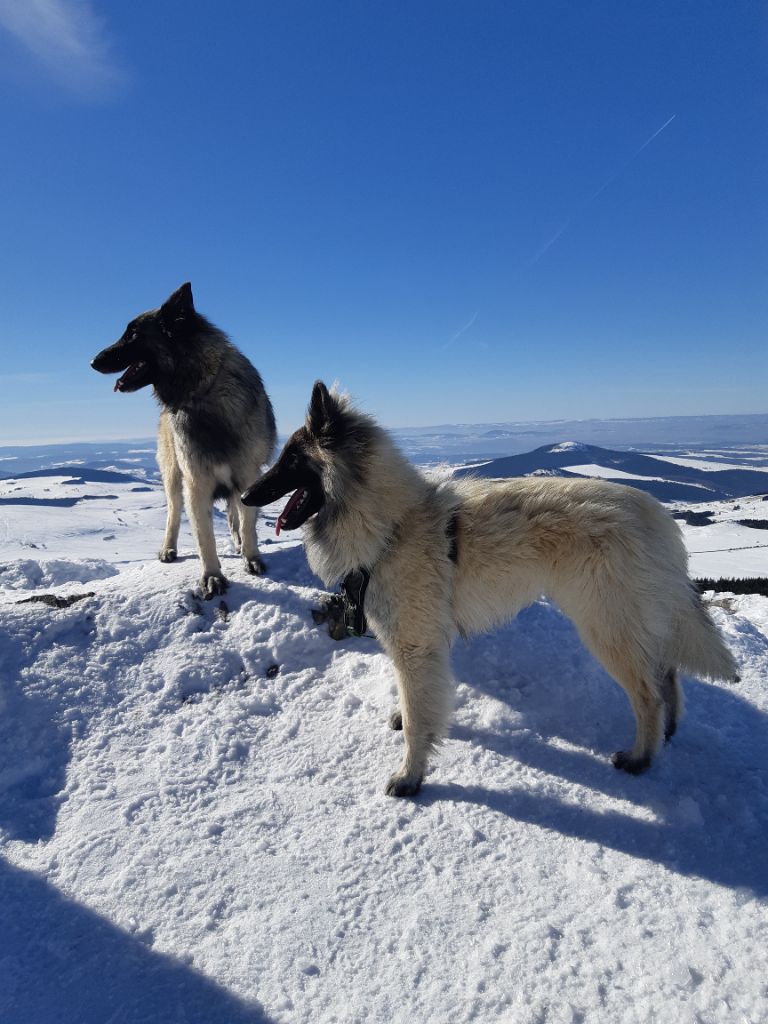 Tryo Des Bergers D'heugarolles